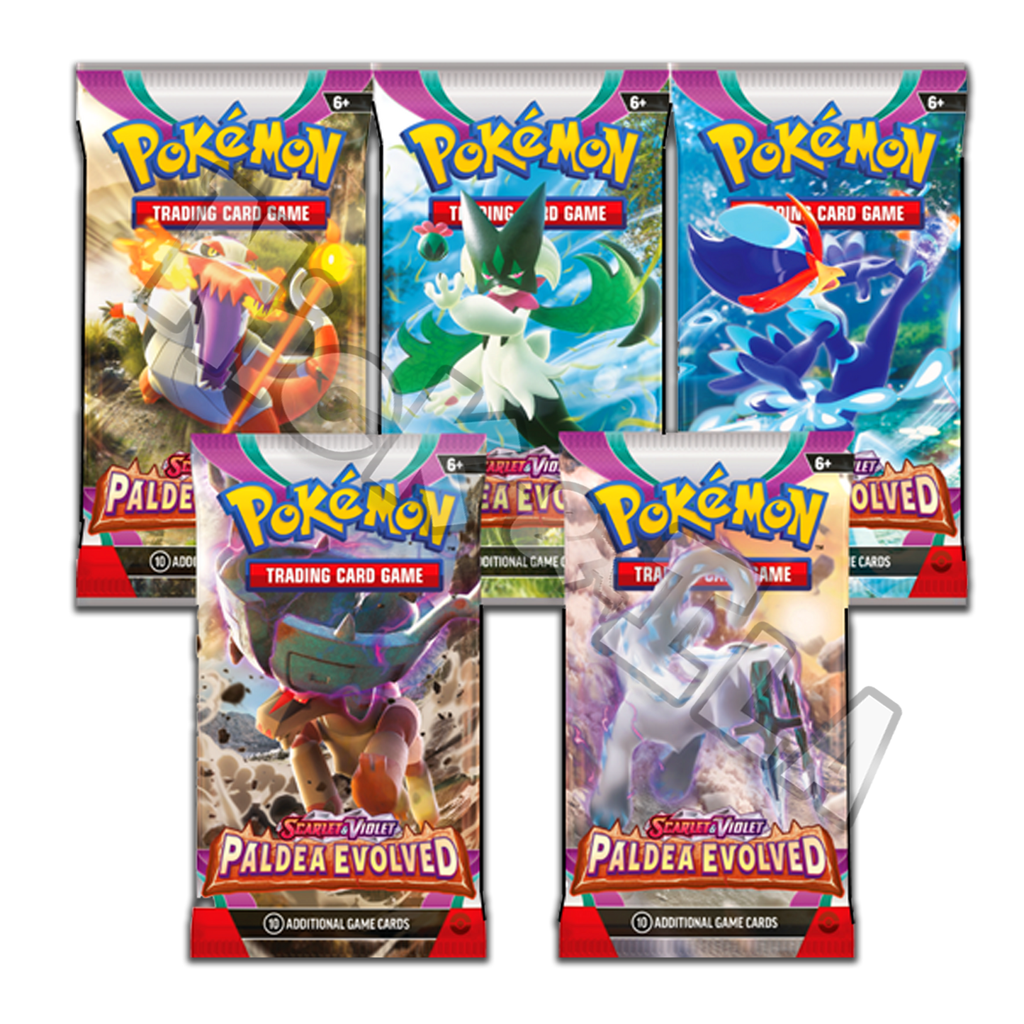 Bustina Singola - Artwork EVOLUZIONI A PALDEA (ITA🇮🇹)